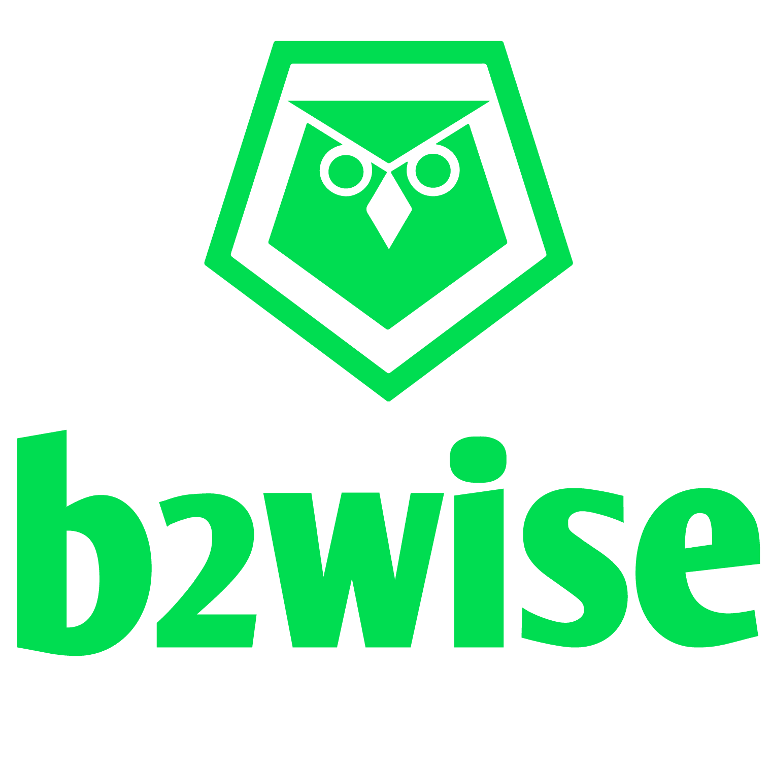 B2Wise logo